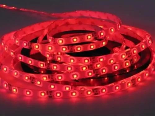 ECOLIGHT LED pásek - SMD 2835 - 5m - 60LED/m - 4,8W/m - IP65 - červený